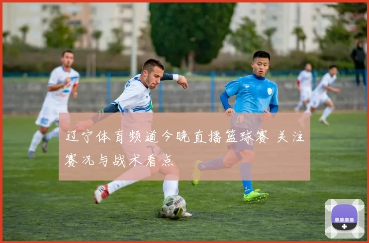 辽宁体育频道今晚直播篮球赛 关注赛况与战术看点