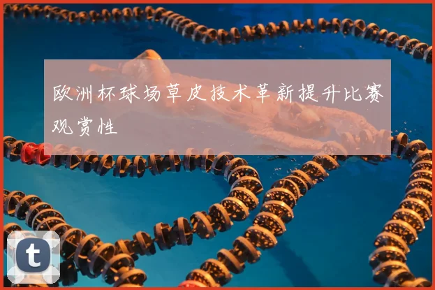 欧洲杯球场草皮技术革新提升比赛观赏性