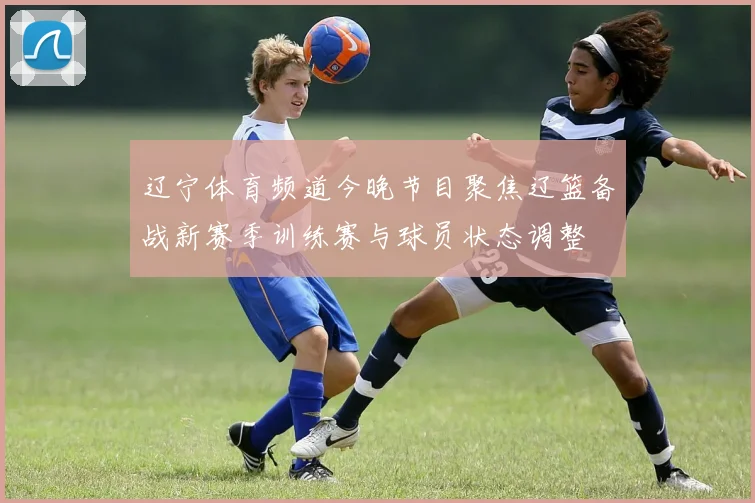 辽宁体育频道今晚节目聚焦辽篮备战新赛季训练赛与球员状态调整