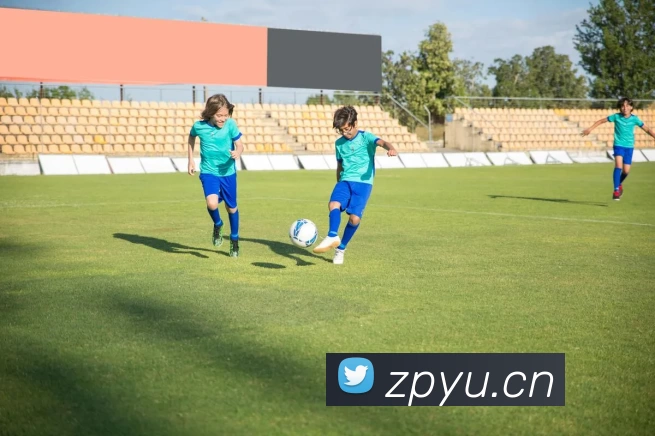 九游体育app官方下载平台生态图